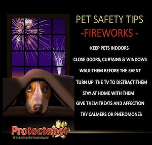 Dog hiding under a blanket with fireworks going off in the background showing Pet safety tips during fireworks